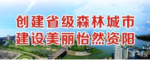 啊啊啊用力插黄片创建省级森林城市 建设美丽怡然资阳